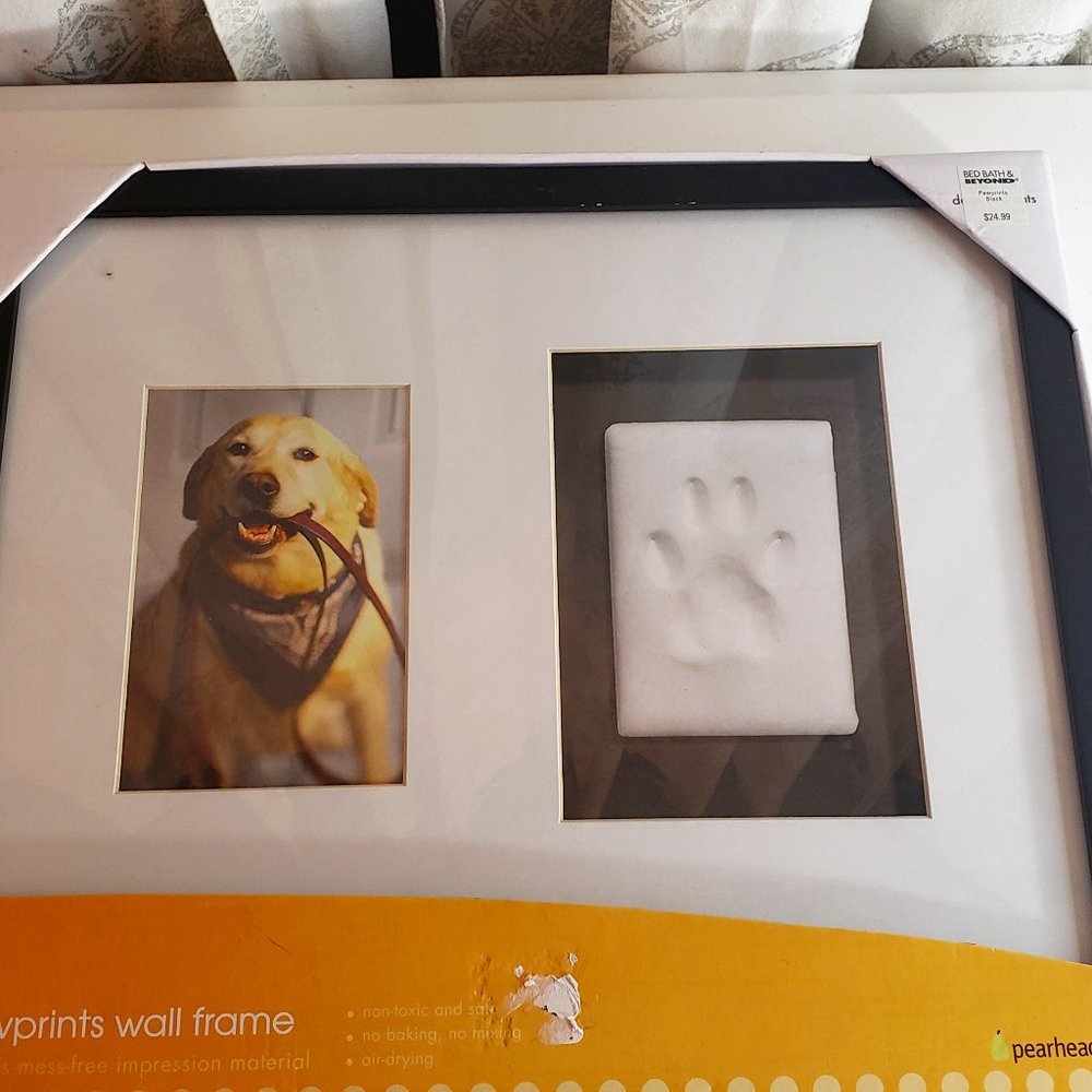 NIB Paw Prints Wall Frame